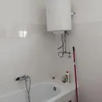 Apartament Curic *